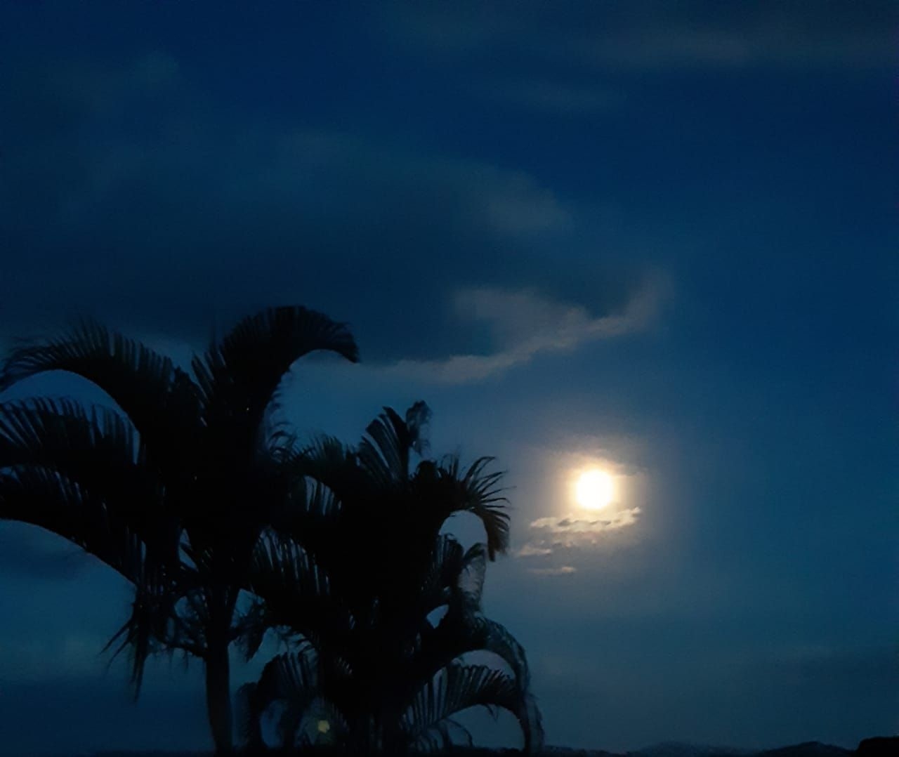 Terreno, 2000 m² - Foto 5