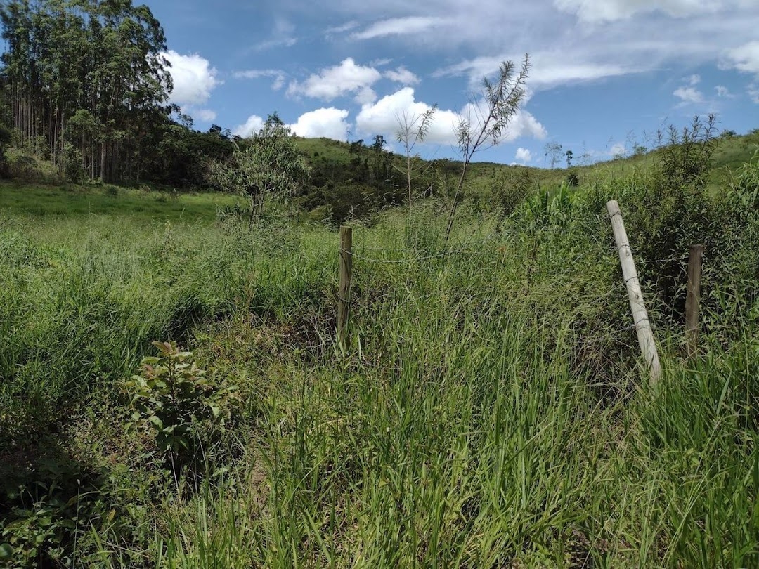 Fazenda em Guaratinguetá/São Paulo — Ref TRIBGM — Imagem 18