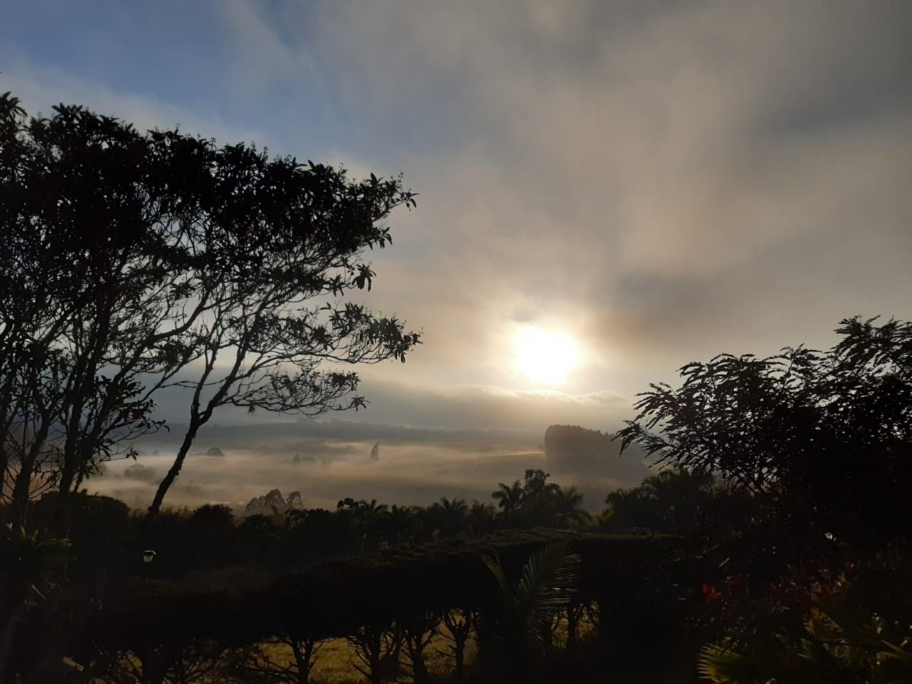 Terreno, 2000 m² - Foto 9