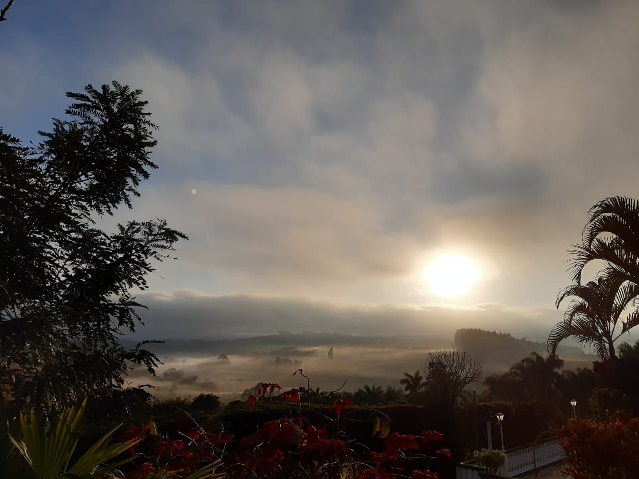 Terreno, 2000 m² - Foto 10