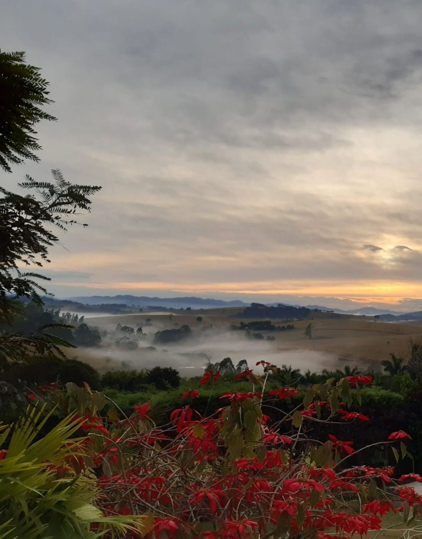 Terreno, 2000 m² - Foto 23