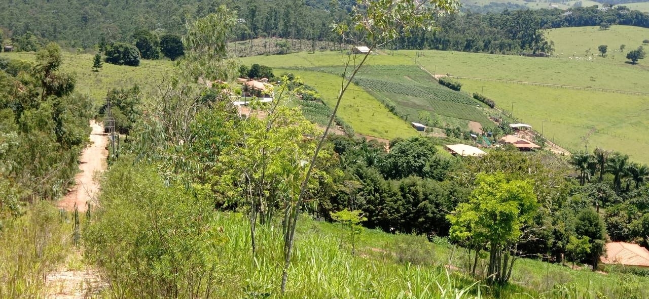 Terreno, 2000 m² - Foto 2