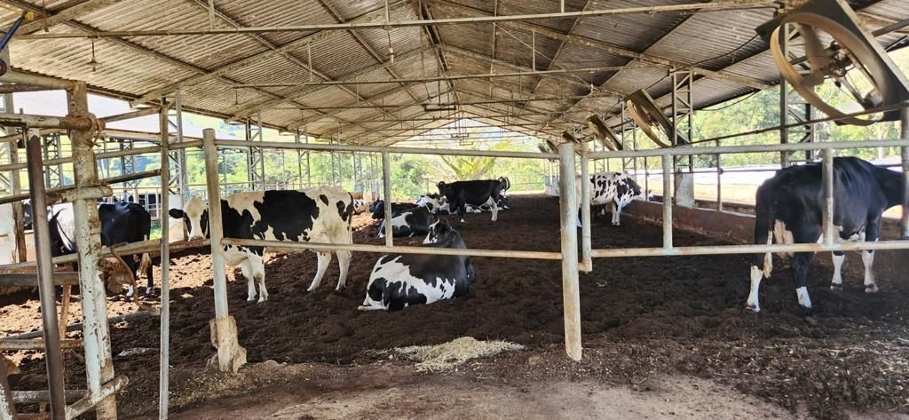 Fazenda, 200 m² - Foto 2