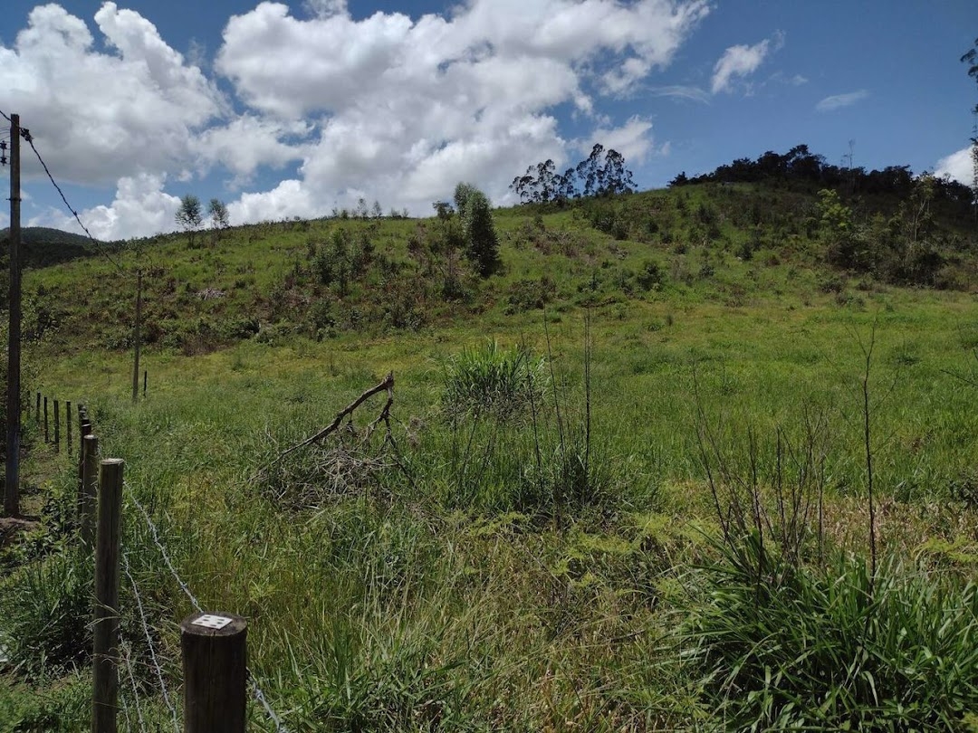 Fazenda em Guaratinguetá/São Paulo — Ref TRIBGM — Imagem 19