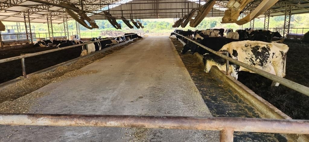 Fazenda, 200 m² - Foto 1