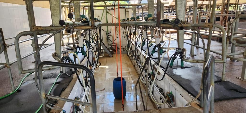 Fazenda, 200 m² - Foto 11