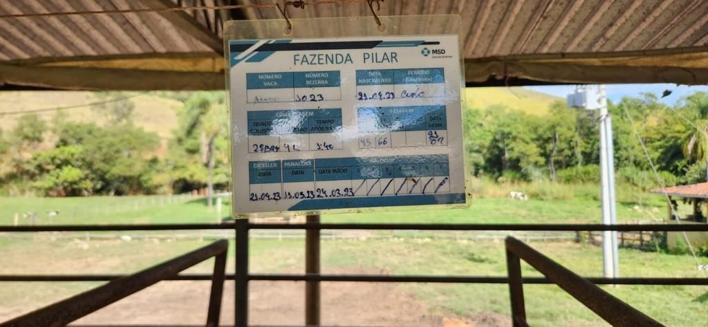 Fazenda, 200 m² - Foto 14