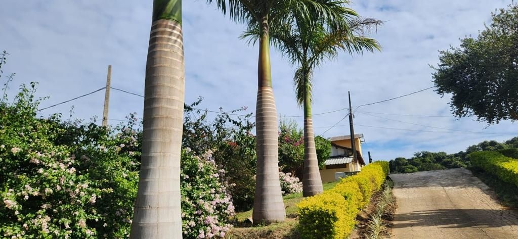 Fazenda, 200 m² - Foto 16