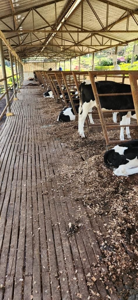 Fazenda, 200 m² - Foto 17