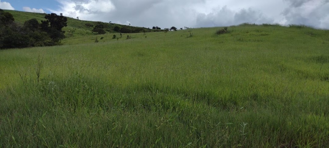 Fazenda, 498 m² - Foto 2