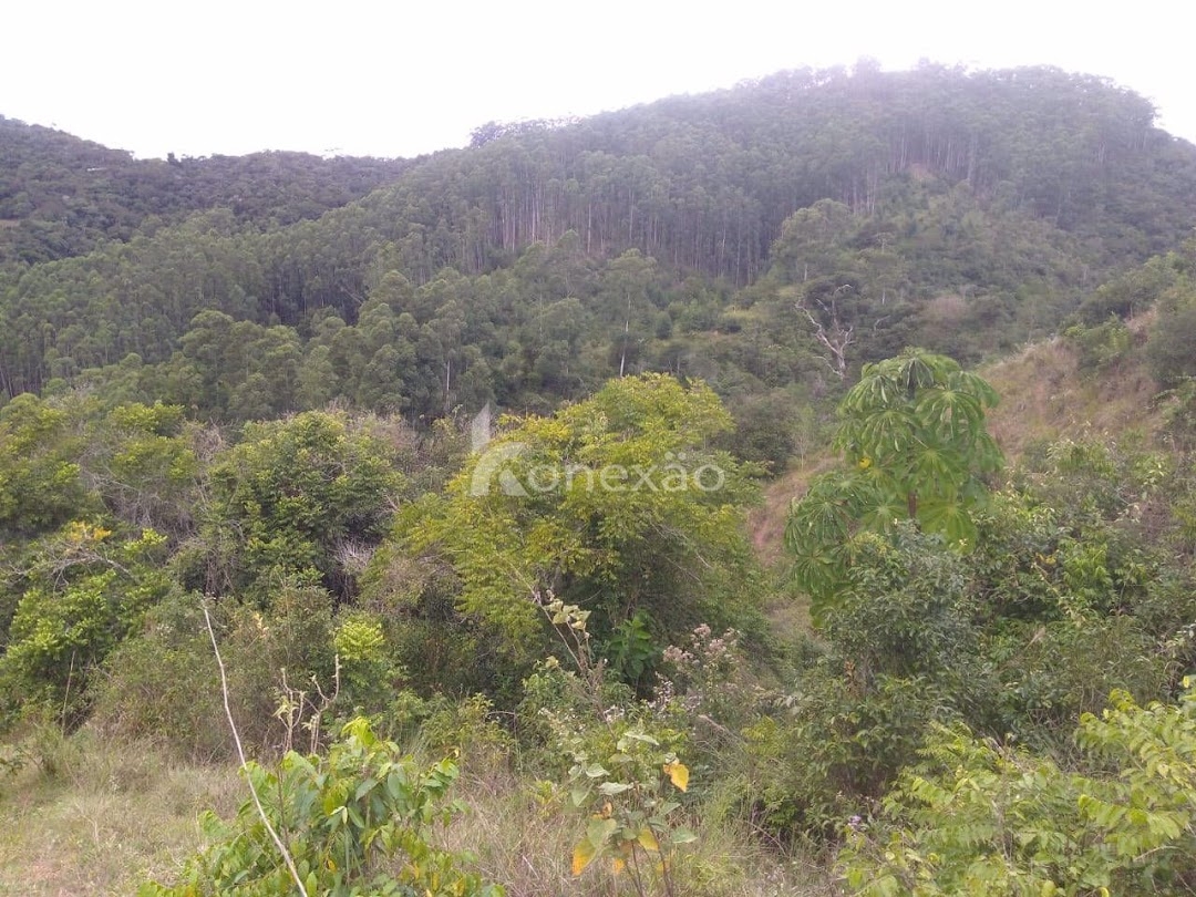 Sítio em São Luíz do Paraitinga/São Paulo — Ref PKLQNV — Imagem 10