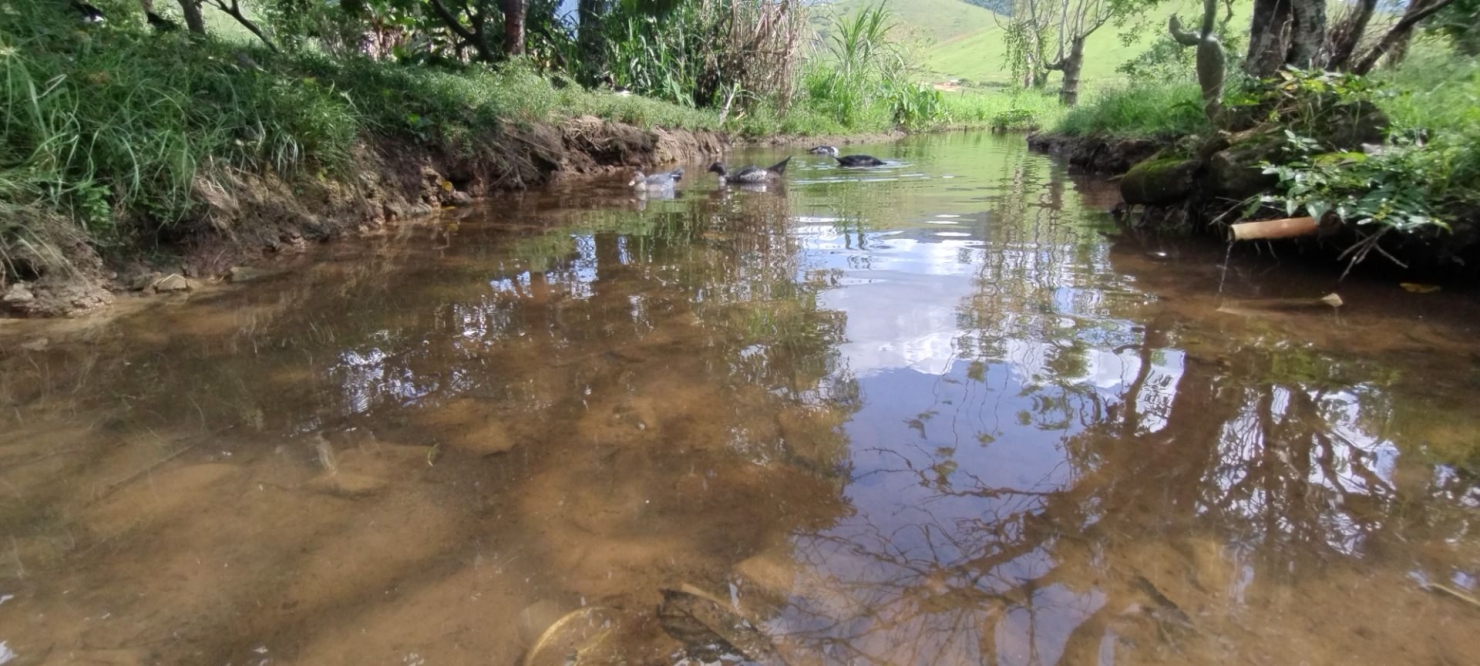 Fazenda-Sítio-Chácara, 100 m² - Foto 22