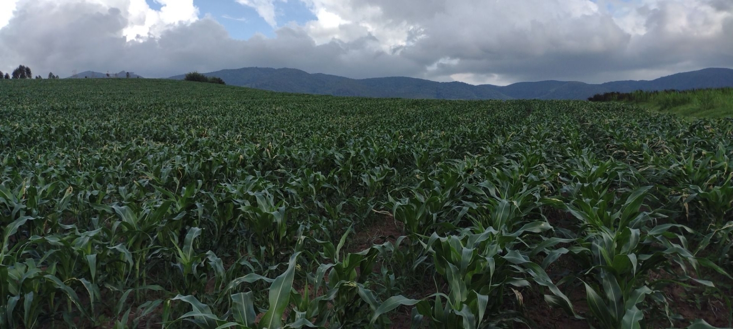 Fazenda-Sítio-Chácara, 100 m² - Foto 28