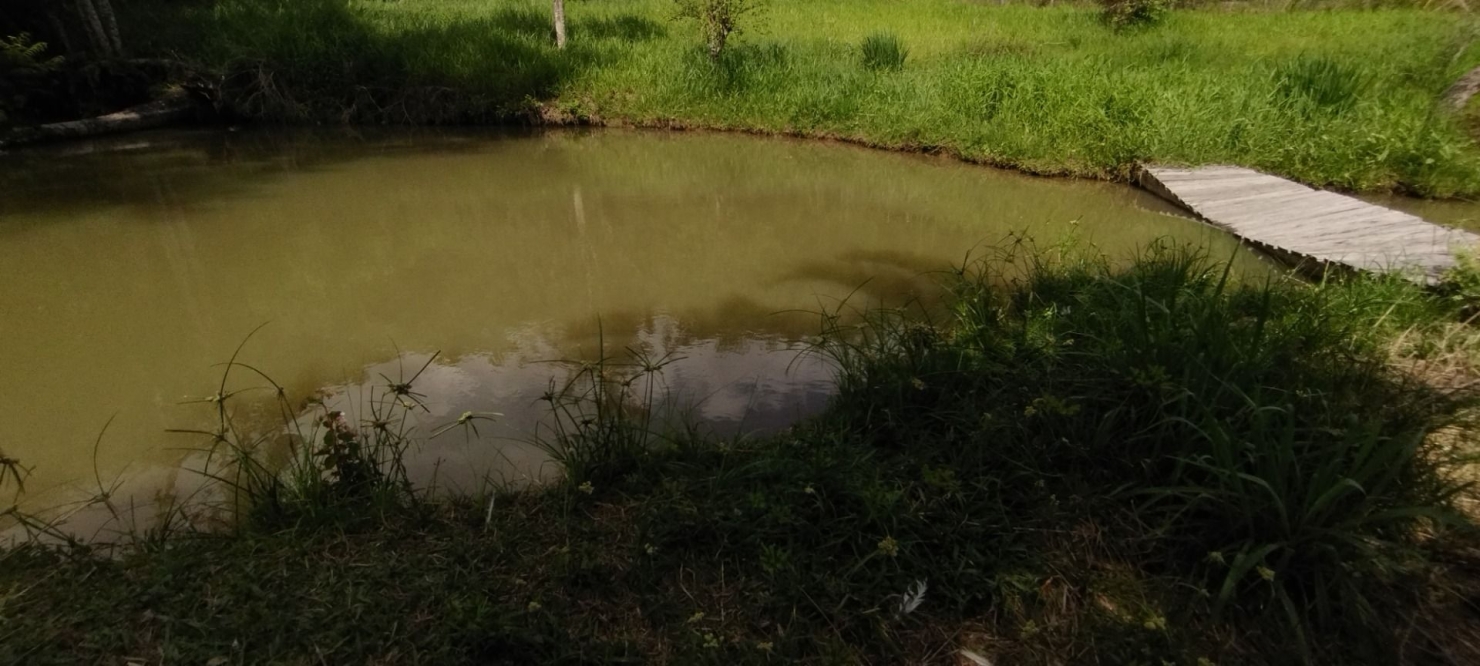 Fazenda-Sítio-Chácara, 100 m² - Foto 30