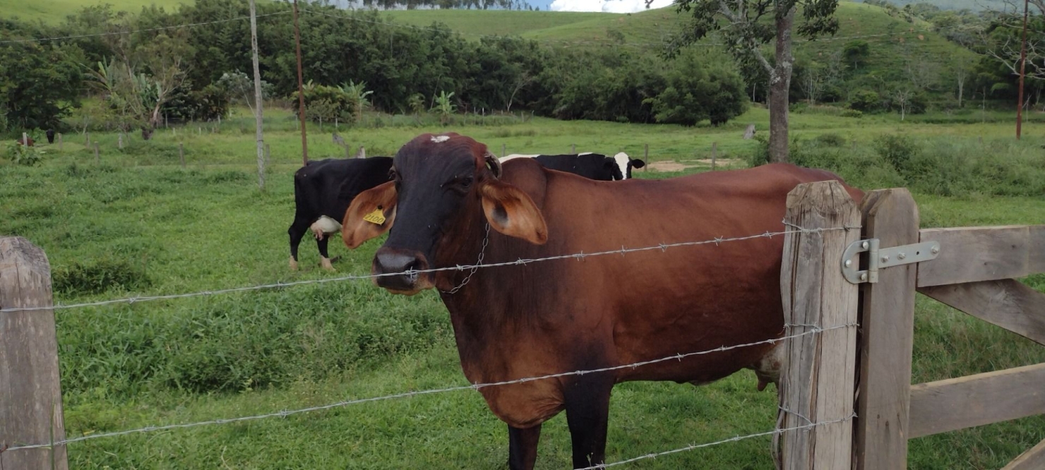 Fazenda-Sítio-Chácara, 100 m² - Foto 37