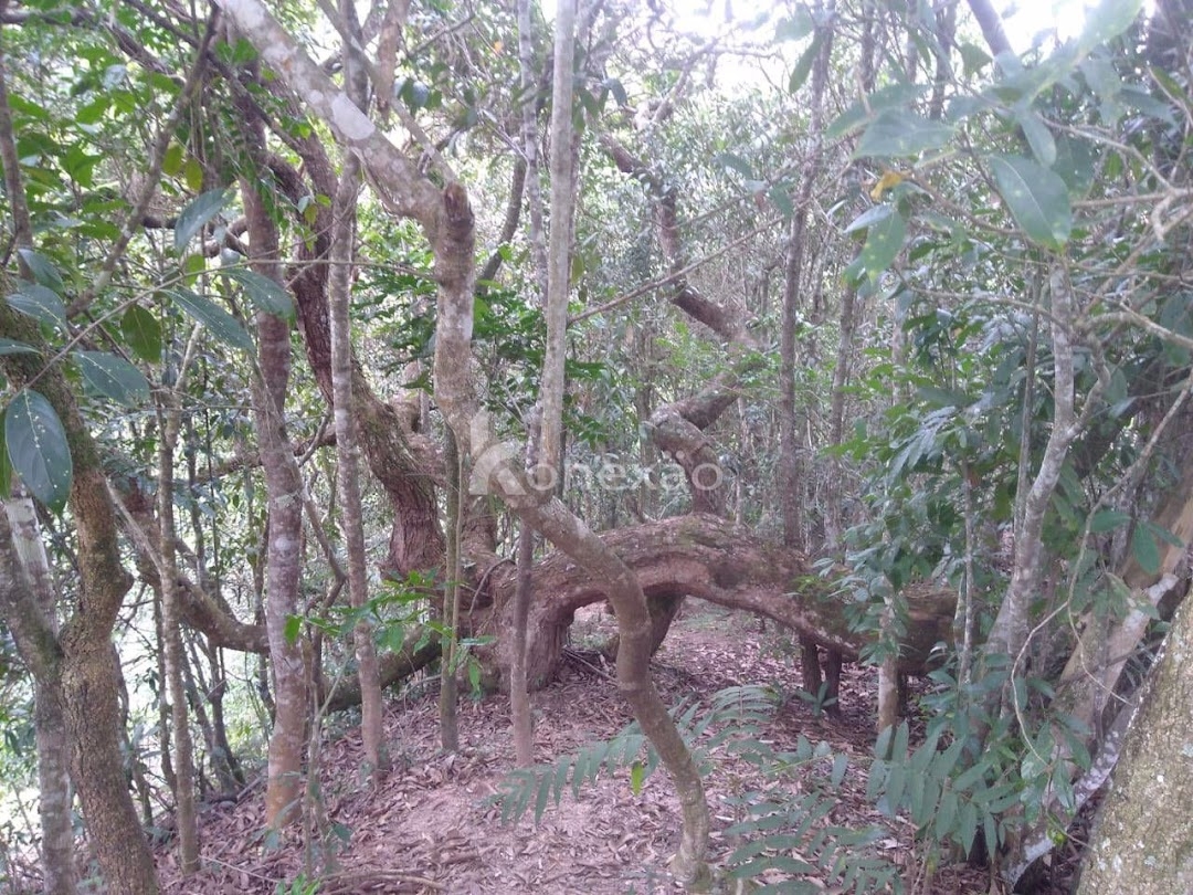 Sítio em São Luíz do Paraitinga/São Paulo — Ref PKLQNV — Imagem 2