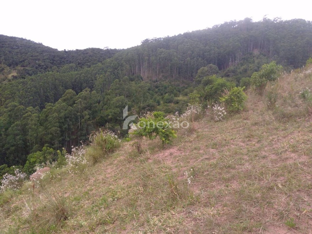 Sítio em São Luíz do Paraitinga/São Paulo — Ref PKLQNV — Imagem 9