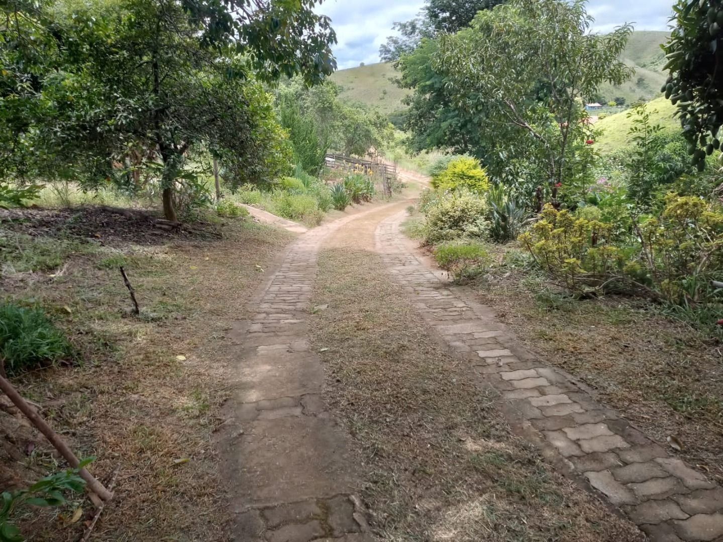 Sítio, 1 quarto, 100 m² - Foto 3