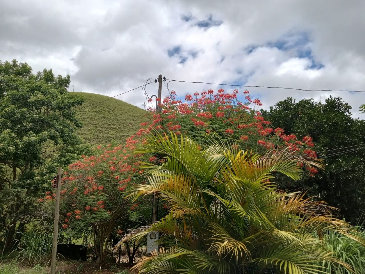 Sítio, 1 quarto, 100 m² - Foto 4