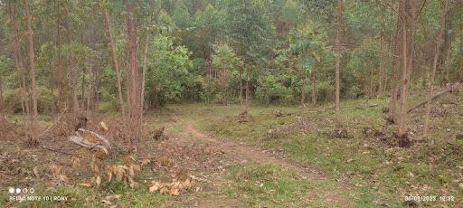 Sítio, 2 quartos, 150 m² - Foto 2