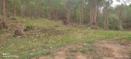 Sítio, 2 quartos, 150 m² - Foto 3