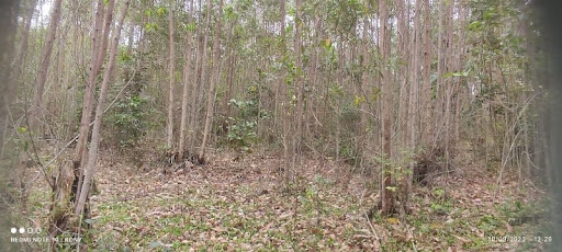 Sítio, 2 quartos, 150 m² - Foto 4