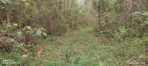 Sítio, 2 quartos, 150 m² - Foto 5