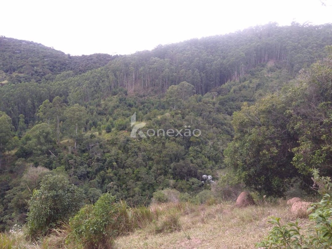 Sítio em São Luíz do Paraitinga/São Paulo — Ref PKLQNV — Imagem 3