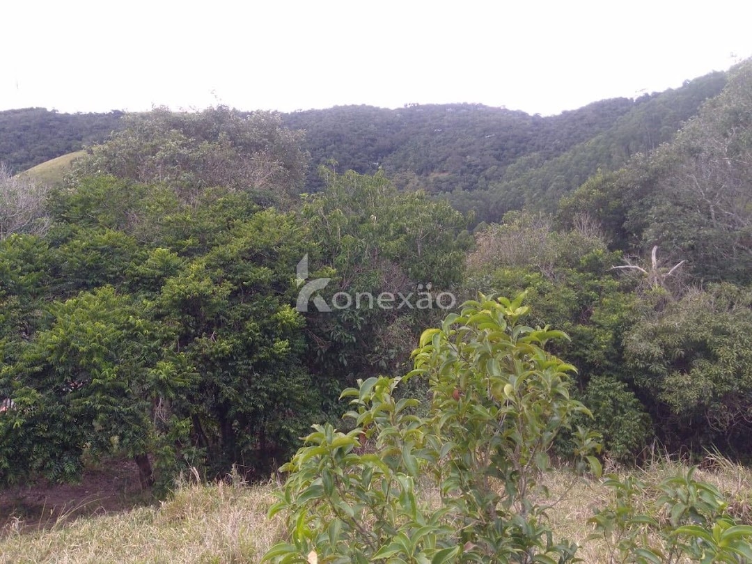 Sítio em São Luíz do Paraitinga/São Paulo — Ref PKLQNV — Imagem 6