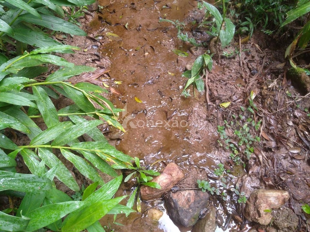 Sítio em São Luíz do Paraitinga/São Paulo — Ref PKLQNV — Imagem 14