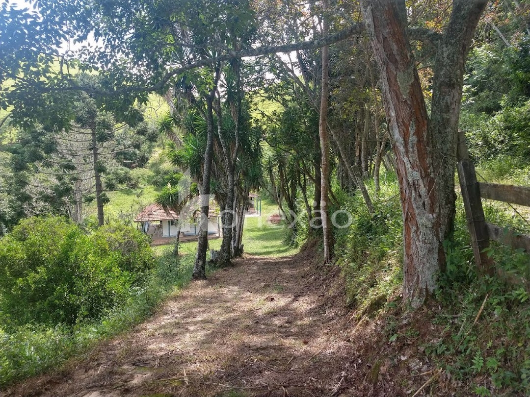 Sítio, 3 quartos, 120 m² - Foto 1