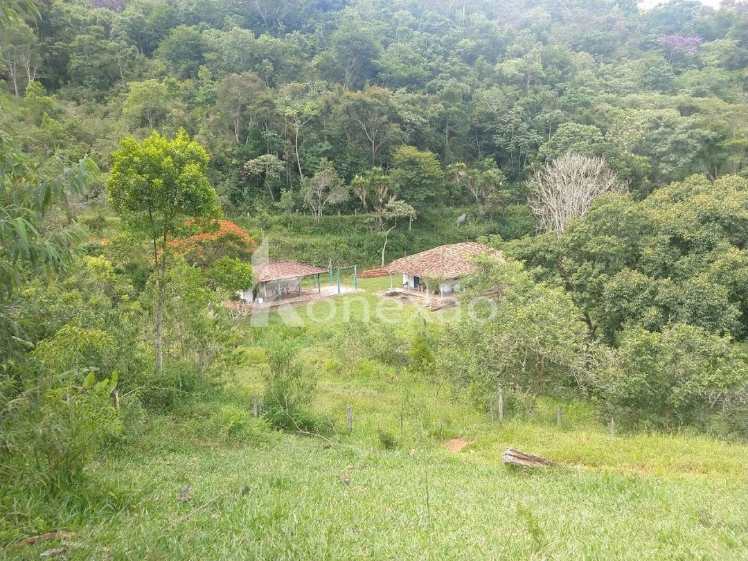 Sítio, 3 quartos, 120 m² - Foto 7