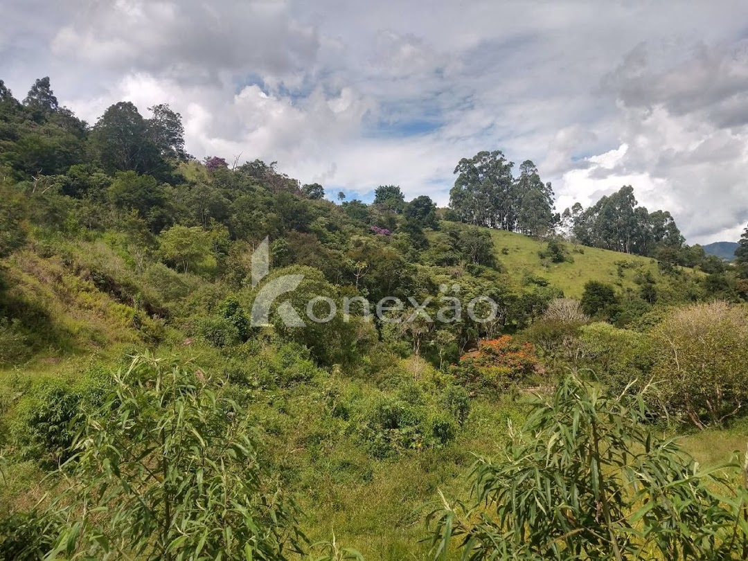 Sítio, 3 quartos, 120 m² - Foto 15