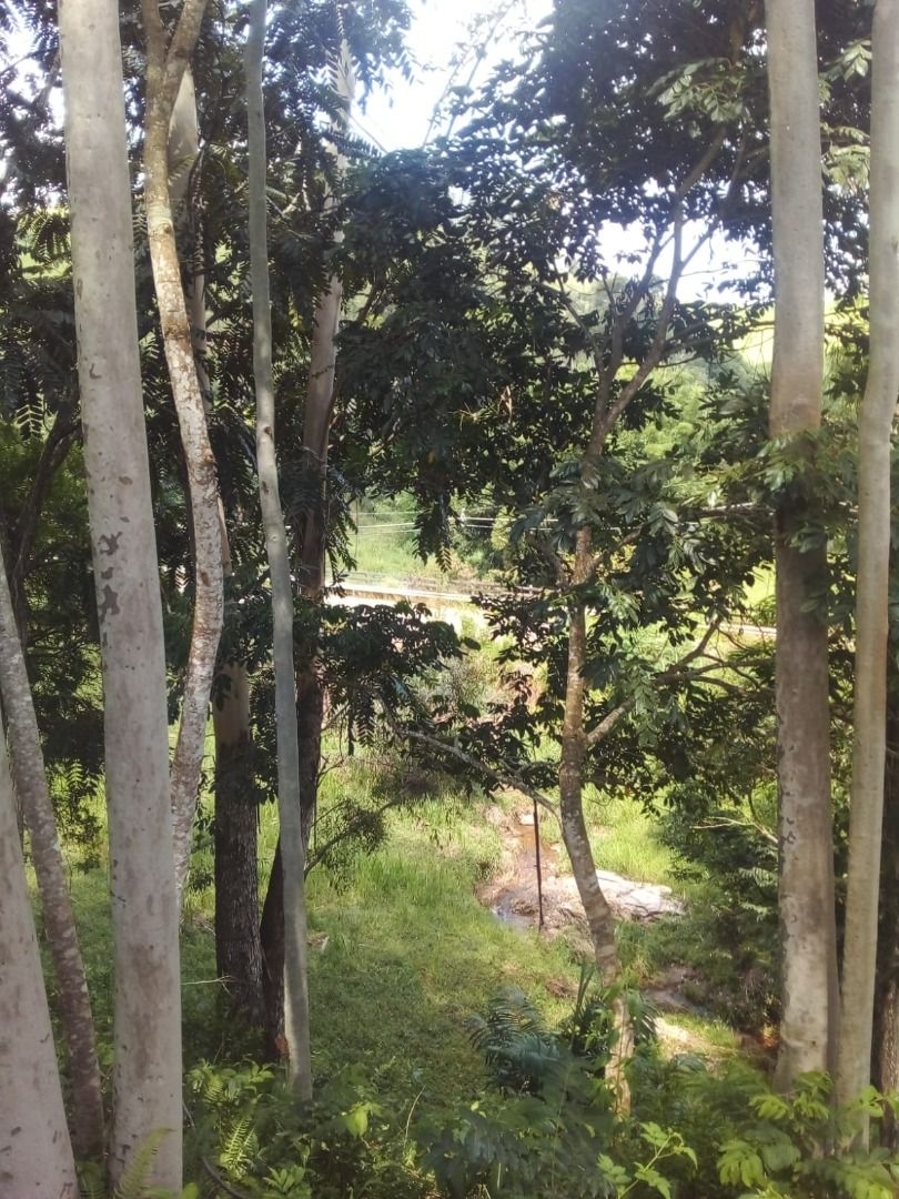 Chácara, 4 quartos, 100 m² - Foto 5