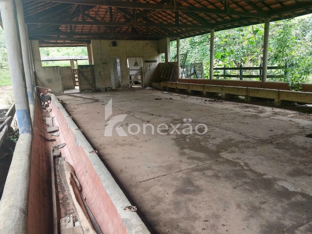 Sítio, 3 quartos, 120 m² - Foto 8