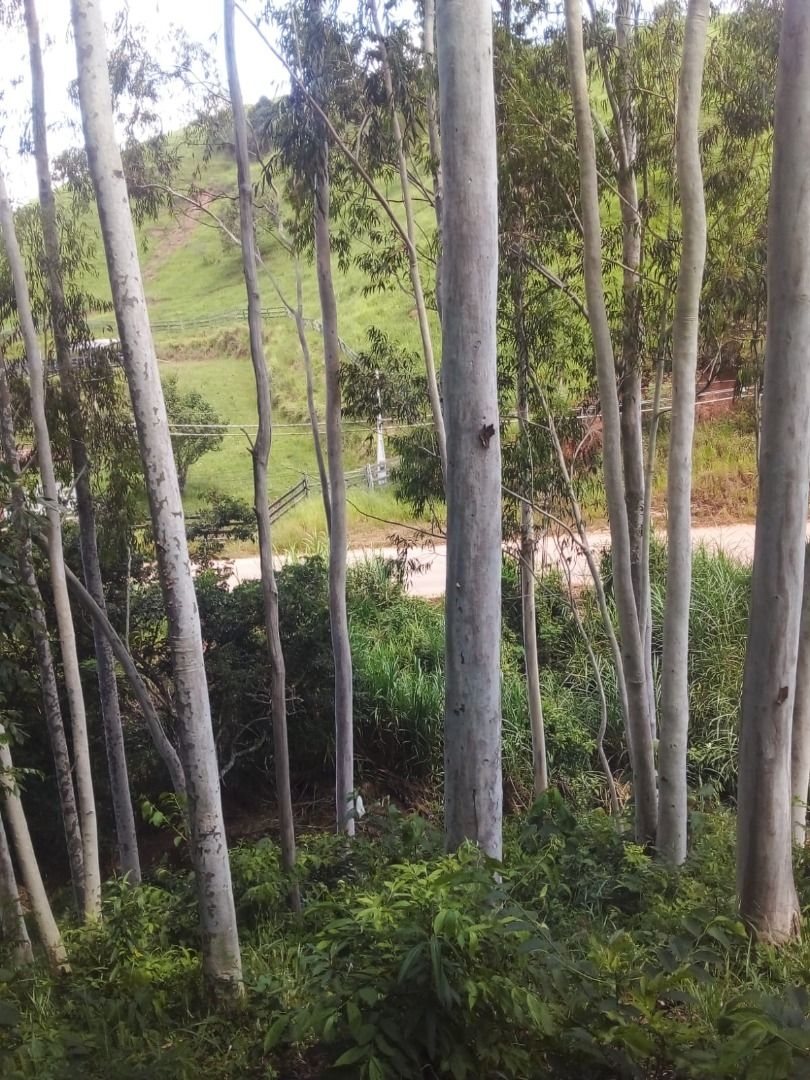 Sítio em São Luiz do Paraitinga/São Paulo — Ref XUOQ7K — Imagem 9