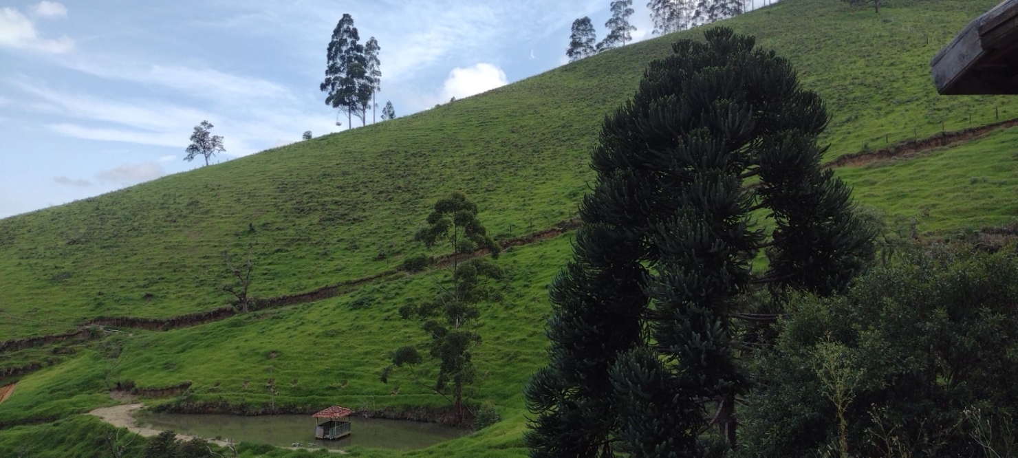 Chácara, 1 quarto, 100 m² - Foto 3