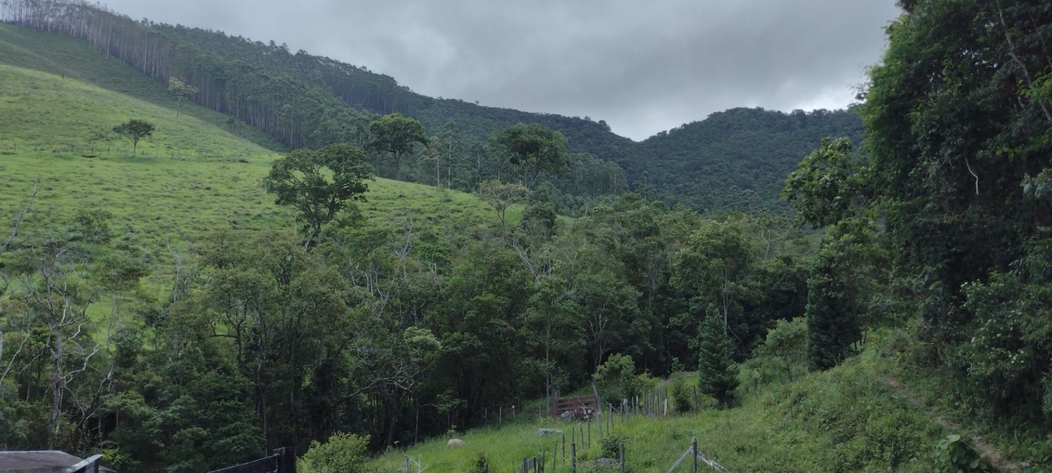 Chácara, 1 quarto, 100 m² - Foto 5