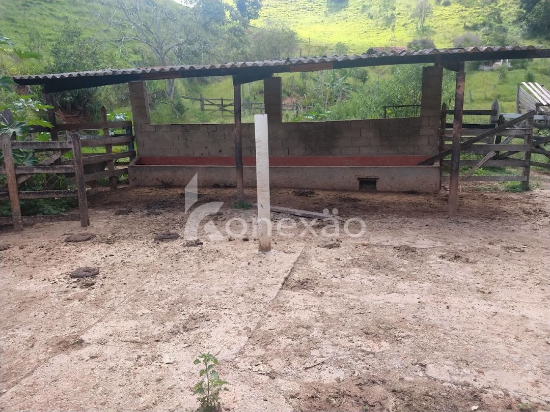 Sítio, 3 quartos, 120 m² - Foto 11