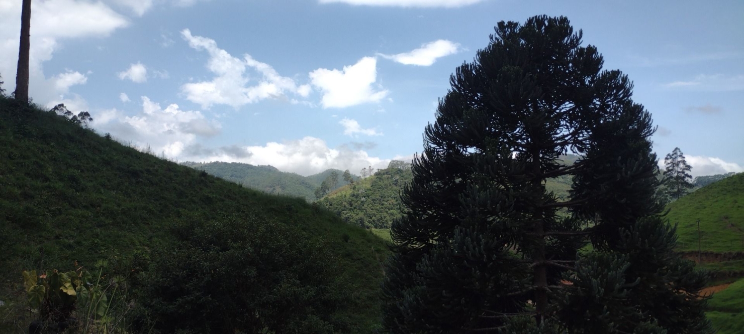 Chácara, 1 quarto, 100 m² - Foto 13