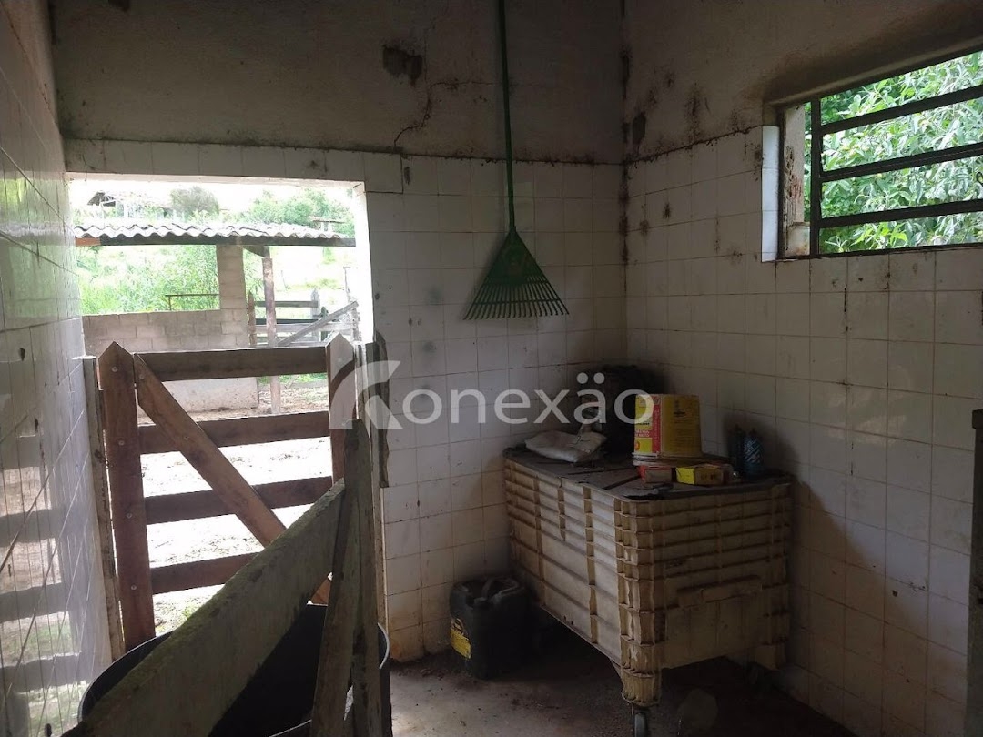 Sítio, 3 quartos, 120 m² - Foto 10