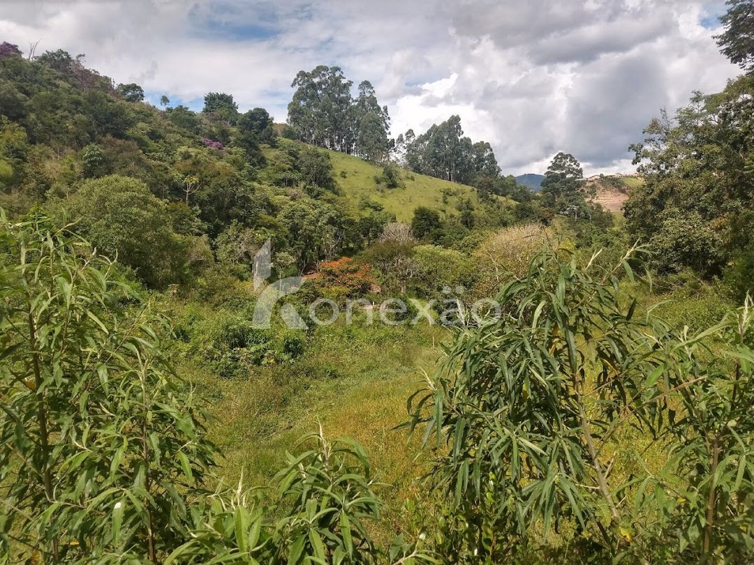 Sítio, 3 quartos, 120 m² - Foto 16