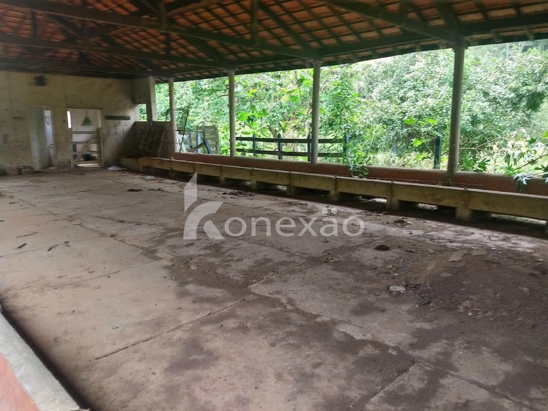 Sítio, 3 quartos, 120 m² - Foto 9