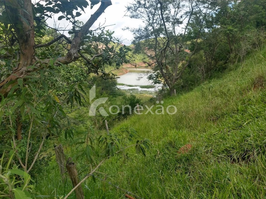 Sítio, 3 quartos, 120 m² - Foto 6