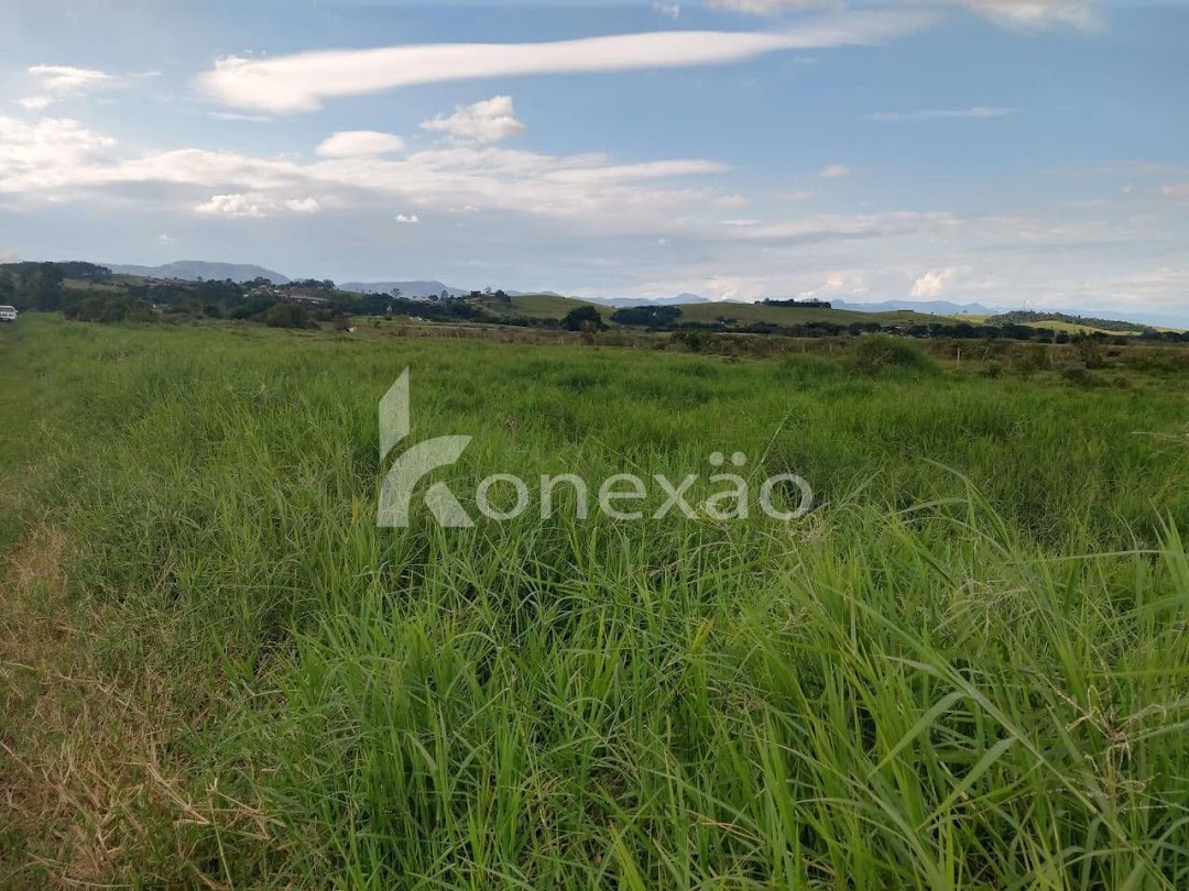 Sítio, 1 quarto, 300 m² - Foto 3