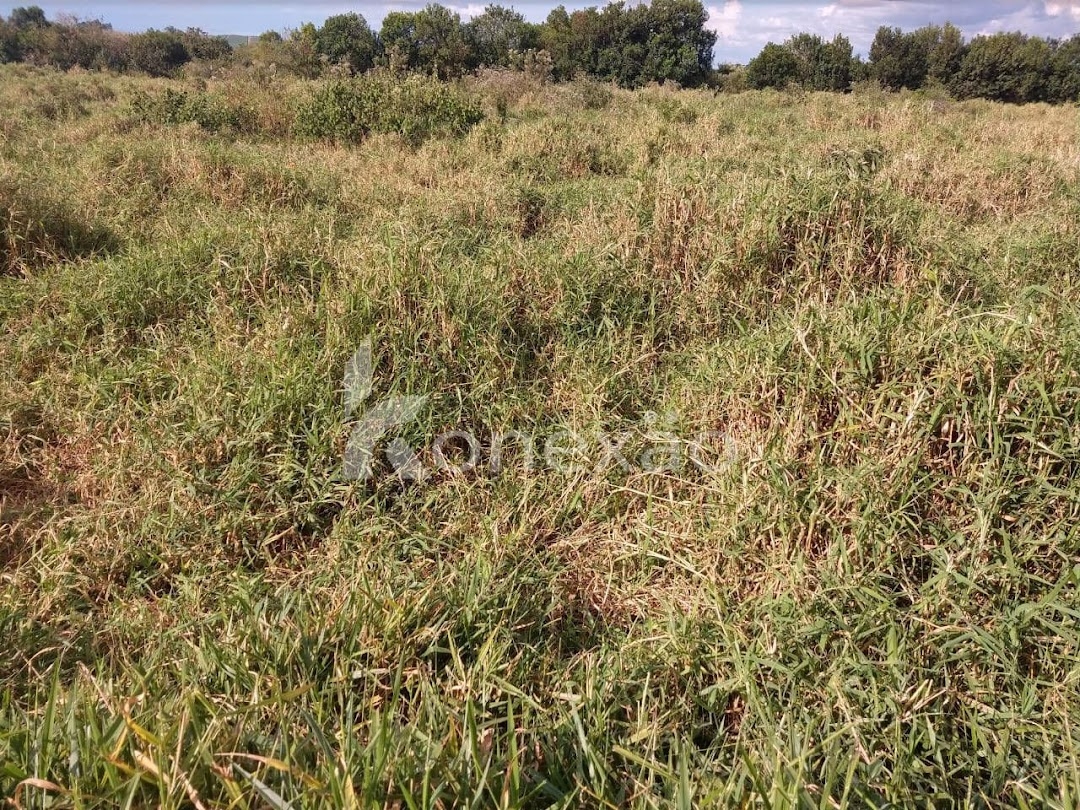 Sítio em Caçapava/São Paulo — Ref 9J6YZ4 — Imagem 14