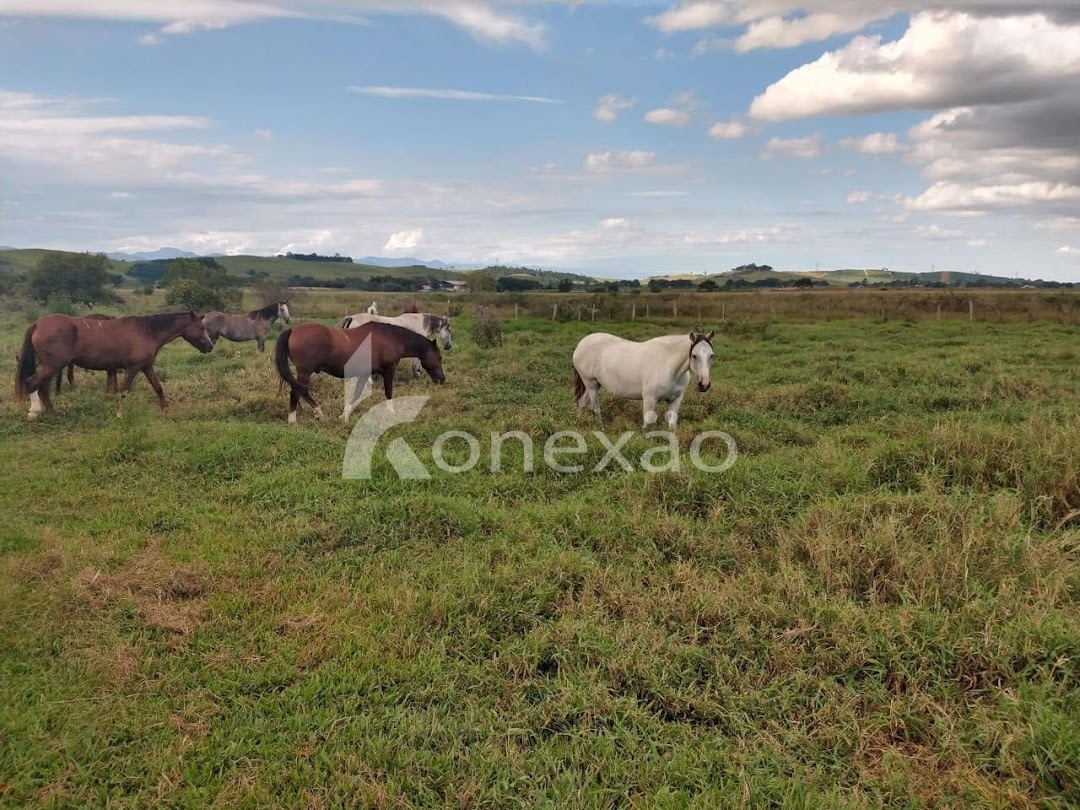 Sítio em Caçapava/São Paulo — Ref 9J6YZ4 — Imagem 19
