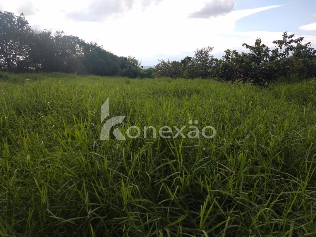 Sítio em Caçapava/São Paulo — Ref 9J6YZ4 — Imagem 10