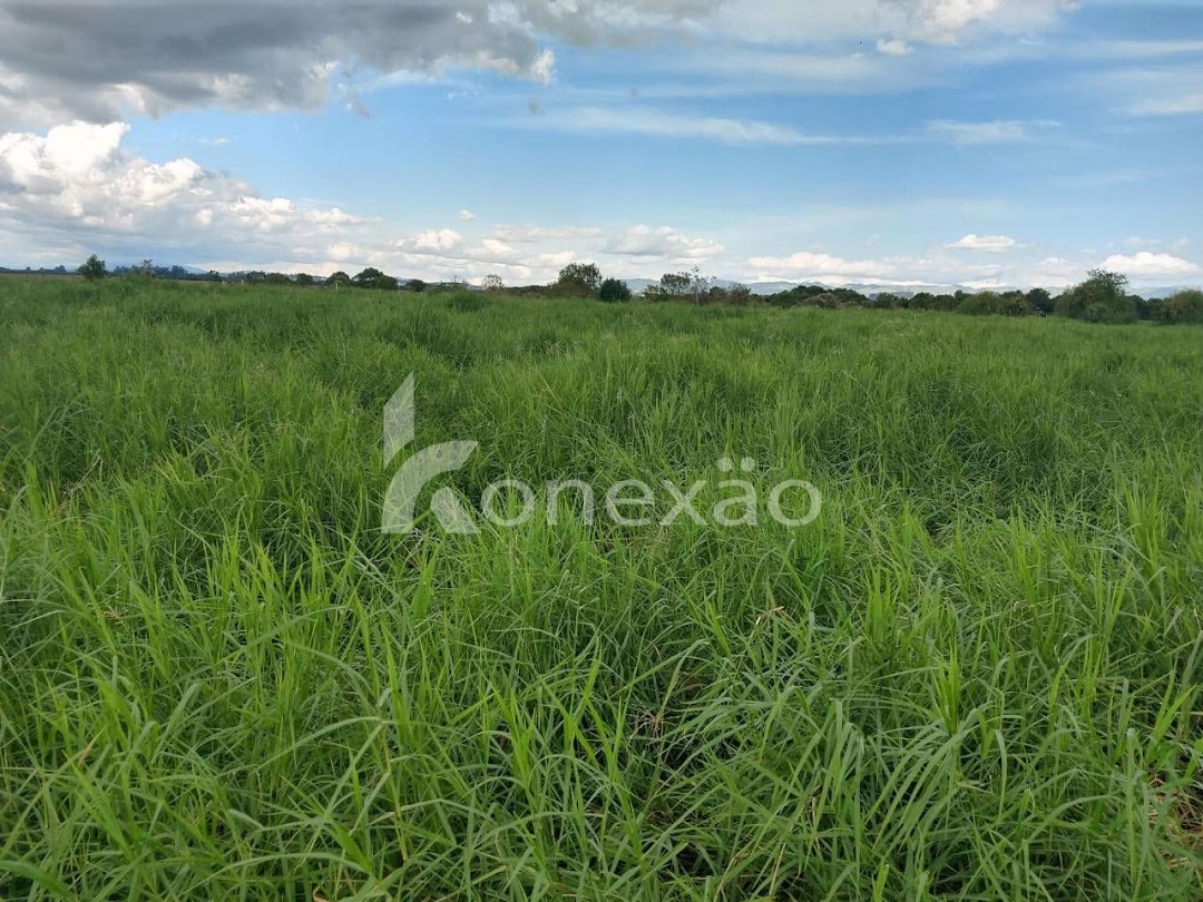 Sítio em Caçapava/São Paulo — Ref 9J6YZ4 — Imagem 13