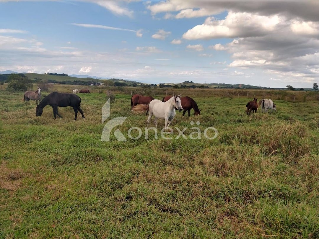 Sítio em Caçapava/São Paulo — Ref 9J6YZ4 — Imagem 7